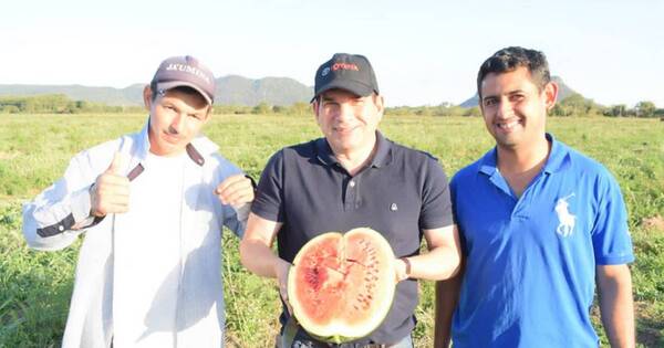 La Nación / Celebran exitosa cosecha de sandía cultivada con apoyo de la Gobernación de Paraguarí y Cecon