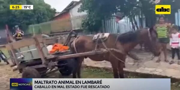 Rescatan a caballo maltratado y piden ayuda para hijo del dueño - Nacionales - ABC Color