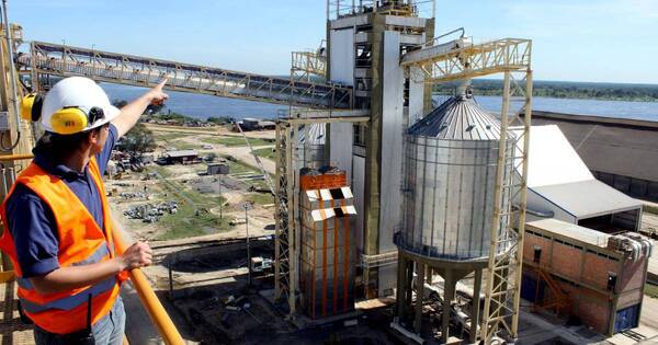 La Nación / Agroindustrias pararon en setiembre y se espera mayor caída del procesamiento, según Cappro