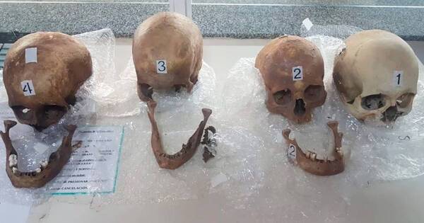 La Nación / Mujer llevaba 4 cráneos humanos en una maleta