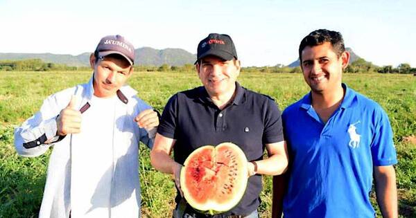 La Nación / Celebran exitosa cosecha de sandía, apoyada por Cecon