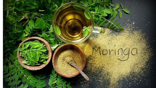 ¿La moringa de Itapúa irá a Marte? Presentarían a la NASA cápsulas para alimentar a astronautas de la misión