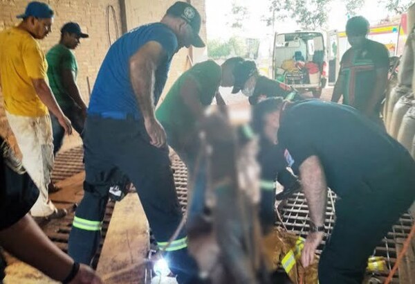 Joven muere tras caer en medio de granos en un silo de Naranjal - Noticiero Paraguay