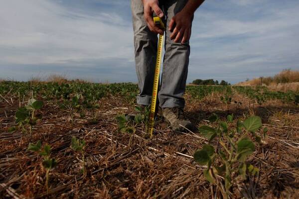 Feprinco rechaza proyectos de leyes sobre contratos agrarios y regalías - ADN Digital
