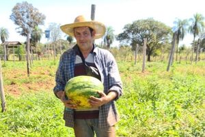 Productor cultivó 2.000 plantas de sandías con apoyo del CAH y ya cuenta con stock para la venta