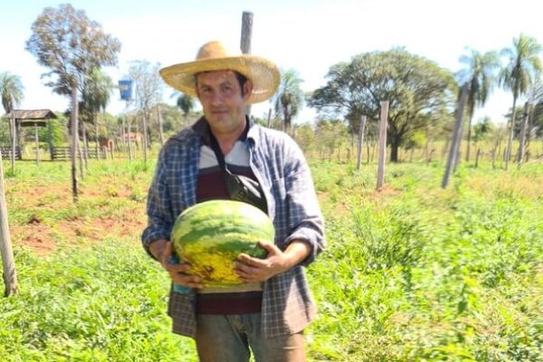 Productor cultivó 2.000 plantas de sandías con apoyo del CAH y ya cuenta con stock para la venta