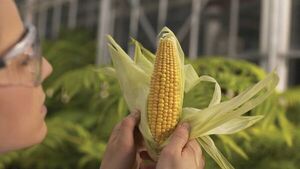 Inbio: “No vamos a dejar de ser un país agrícola y por eso necesitamos desarrollar más tecnología” | Agronegocios | 5Días