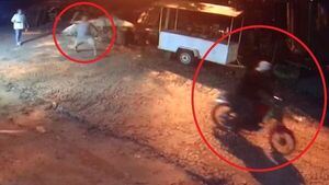 Con pedrada y palo, abuelos "justicieros" atraparon a motochorro
