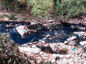Vecinos denuncian que desconocidos arrojan basura en calle y arroyo - Nacionales - ABC Color