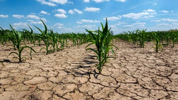 Cuáles son las zonas del mundo que serán inhabitables por las olas de calor - .::Agencia IP::.