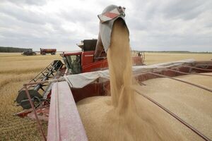 Cae el índice mundial de precios de los alimentos según la FAO
