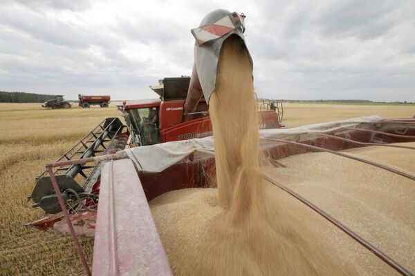 Cae el índice mundial de precios de los alimentos según la FAO