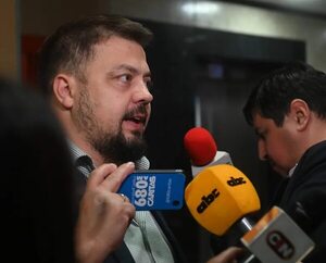 Soroka frena estudio en Diputados de proyectos cuestionados por gremios - Economía - ABC Color