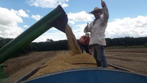 Asociación de pequeños labriegos pide archivar proyectos de ley que les perjudica - Nacionales - ABC Color