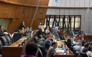 Diputados no paran con las ampliaciones presupuestarias - Política - ABC Color