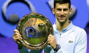 Nueva especie de insecto en Serbia es nombrada en honor a Djokovic
