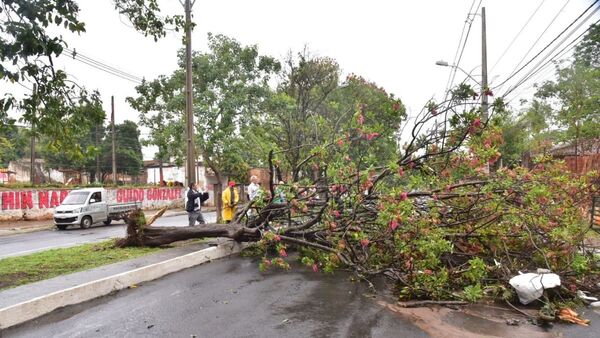 Junta Municipal declara emergencia en Lambaré tras fuerte temporal