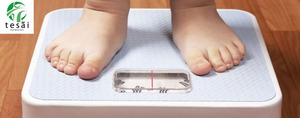 Fundación Tesãi  recuerda el Día Latinoamericano de Lucha Contra la Obesidad | DIARIO PRIMERA PLANA