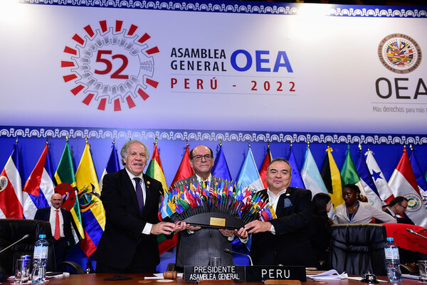 Paraguay defendió en la OEA la posición a favor de la vida y la familia - El Trueno