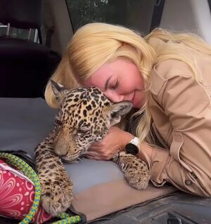 Vero Chaves y el emotivo último adiós a la cachorra yaguareté Tosã - Gente - ABC Color