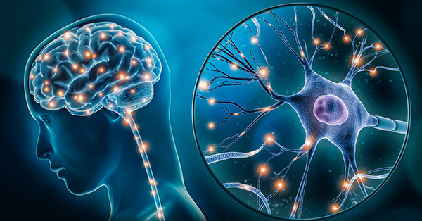 La moda de las neurociencias. Programación Neurolingüística | Columnas | 5Días