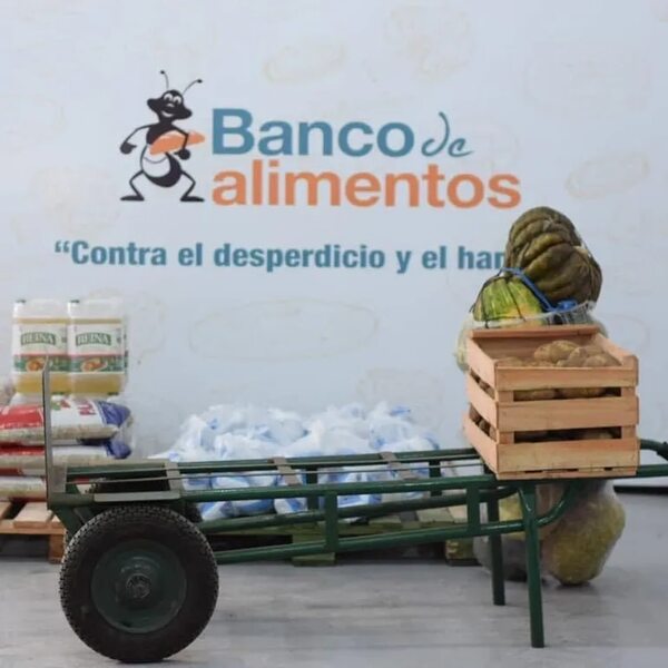 “Campo sin desperdicios”: frutas y verduras que se convierten en platos de comida - Nacionales - ABC Color