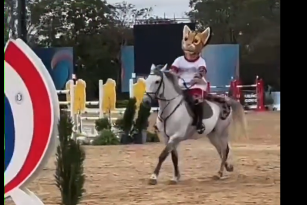 (VIDEO).Tirika ahora ya es todo un jinete y campeón en salto ecuestre