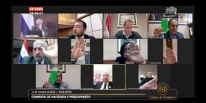 Senadores, a un paso de dar “aumentazos” salariales a todos los funcionarios del Mades  - Política - ABC Color