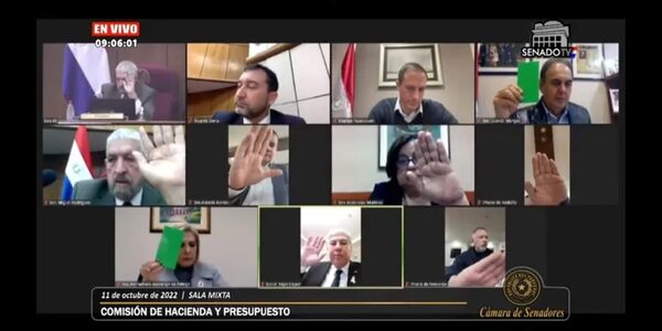 Senadores, a un paso de dar “aumentazos” salariales a todos los funcionarios del Mades - Política - ABC Color