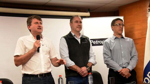 Un técnico de la casa reemplazaría a Denis Lichi al frente de Petropar
