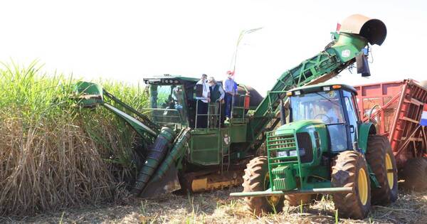 La Nación / Cañicultores de Troche exigen nuevo tren de molienda para aumentar capacidad de producción