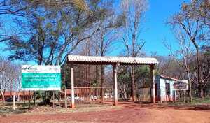Proyecto estudiantil busca concienciar sobre preservación del ambiente - La Clave