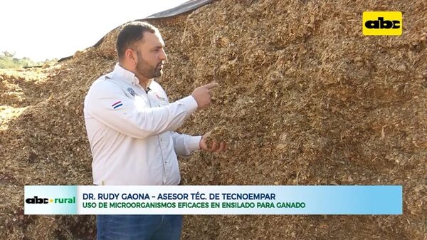 Uso de microorganismos eficaces en ensilado para ganado y resultados - ABC Rural - ABC Color