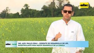 Bioestimulante para mejor desarrollo de la canola - ABC Rural - ABC Color