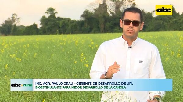 Bioestimulante para mejor desarrollo de la canola - ABC Rural - ABC Color