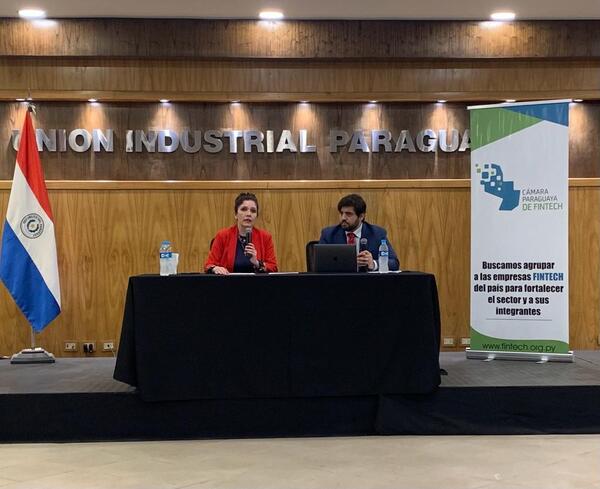Fintechs paraguayas rechazan tarifa de la ANDE para quienes trabajan con criptoactivos | 1000 Noticias