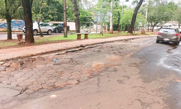 Pésimo estado de avenida aqueja a conductores