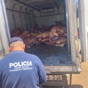Incautan 5.000 kilos de carne vacuna y 600 kilos de pollo de contrabando - Policiales - ABC Color