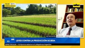 Leyes contra la producción sojera - Factor Clave - ABC Color