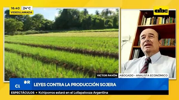Leyes contra la producción sojera - Factor Clave - ABC Color