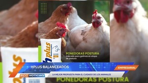 Hplus Balanceados: el mejor valor nutricional para los animales