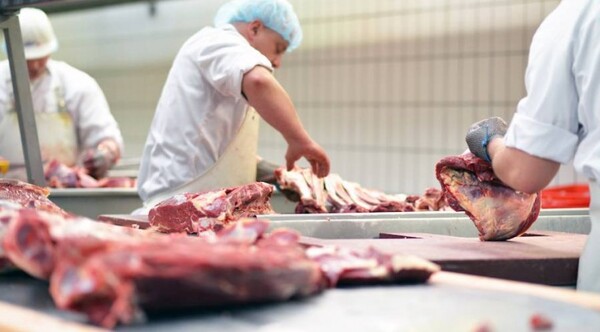 Diario HOY | Con apertura de los mercados de EE.UU y Canadá se podría exportar 30.000 toneladas de carne