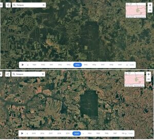 Situación de cobertura forestal no es catastrófica en Paraguay, según Infona - Política - ABC Color