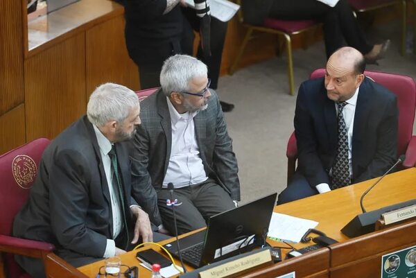Senado trata hoy aumentazos en Mades, préstamos para becas y cancelación de bonos - Política - ABC Color