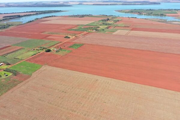 Indert vendió lotes por US$ 63/ha y busca comprarlos por US$ 5.000/ha - Economía - ABC Color