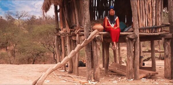 Muestra “Reactivando videografías” pone el foco en el Gran Chaco - Artes Plásticas - ABC Color