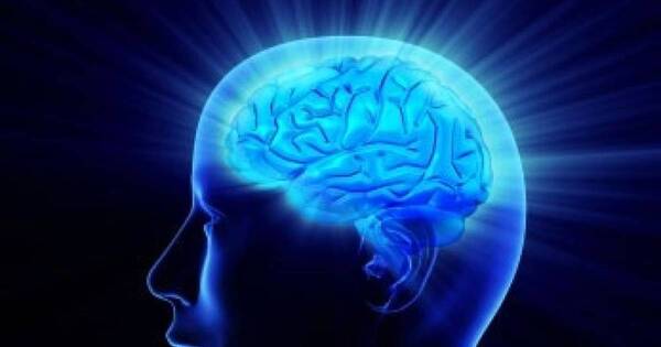 La Nación / Implantan con éxito células del cerebro humano en ratas para investigar enfermedades psiquiátricas