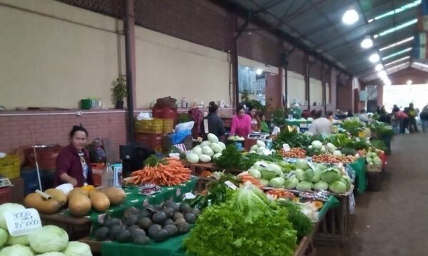 Exceso de lluvia ya perjudica a productores