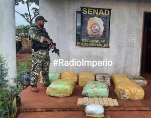 Senad incauta más de 300 kilos de marihuana prensada en la colonia Mafussi - Radio Imperio