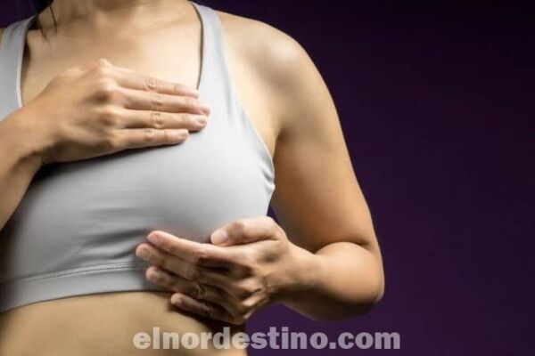 Octubre Rosa: Hábitos saludables que todos deberíamos conocer que pueden ser útiles en la prevención del cáncer de mama